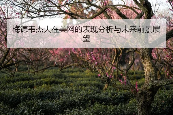 梅德韦杰夫在美网的表现分析与未来前景展望