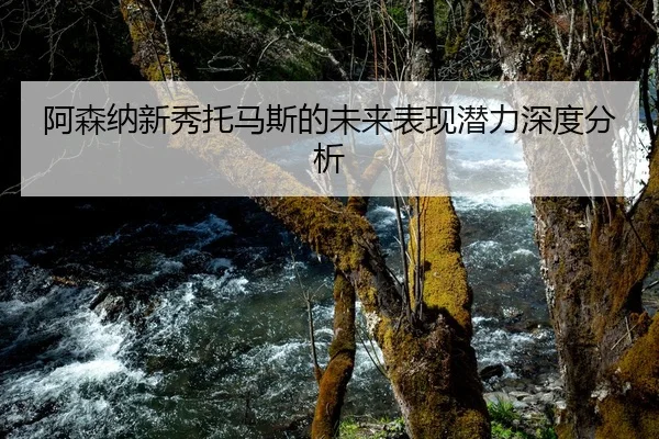 阿森纳新秀托马斯的未来表现潜力深度分析