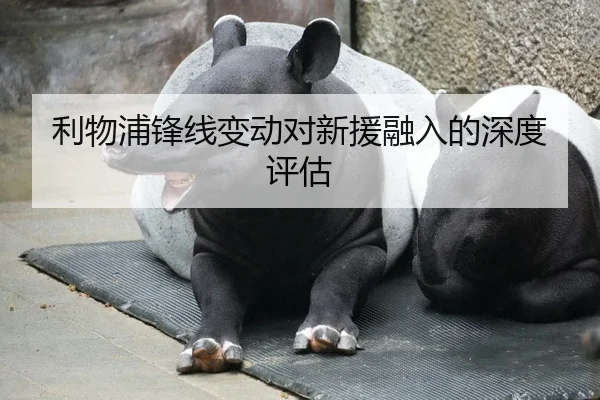 利物浦锋线变动对新援融入的深度评估